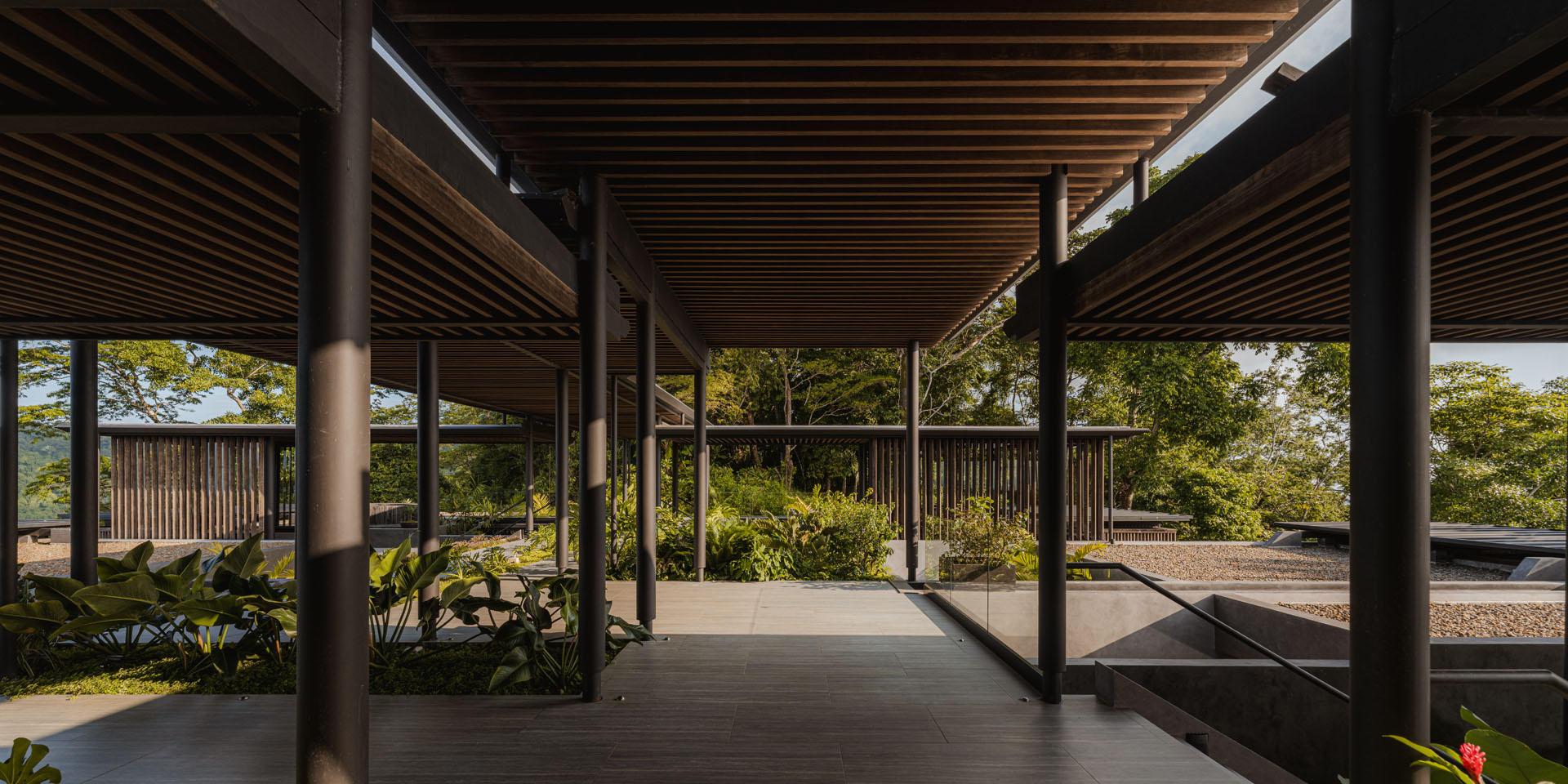 Covered outdoor corridor with a wooden ceiling and steel columns surrounded by tropical plants and green roofs at Dos Vistas in Cabuya, Costa Rica designed by Studio Saxe.