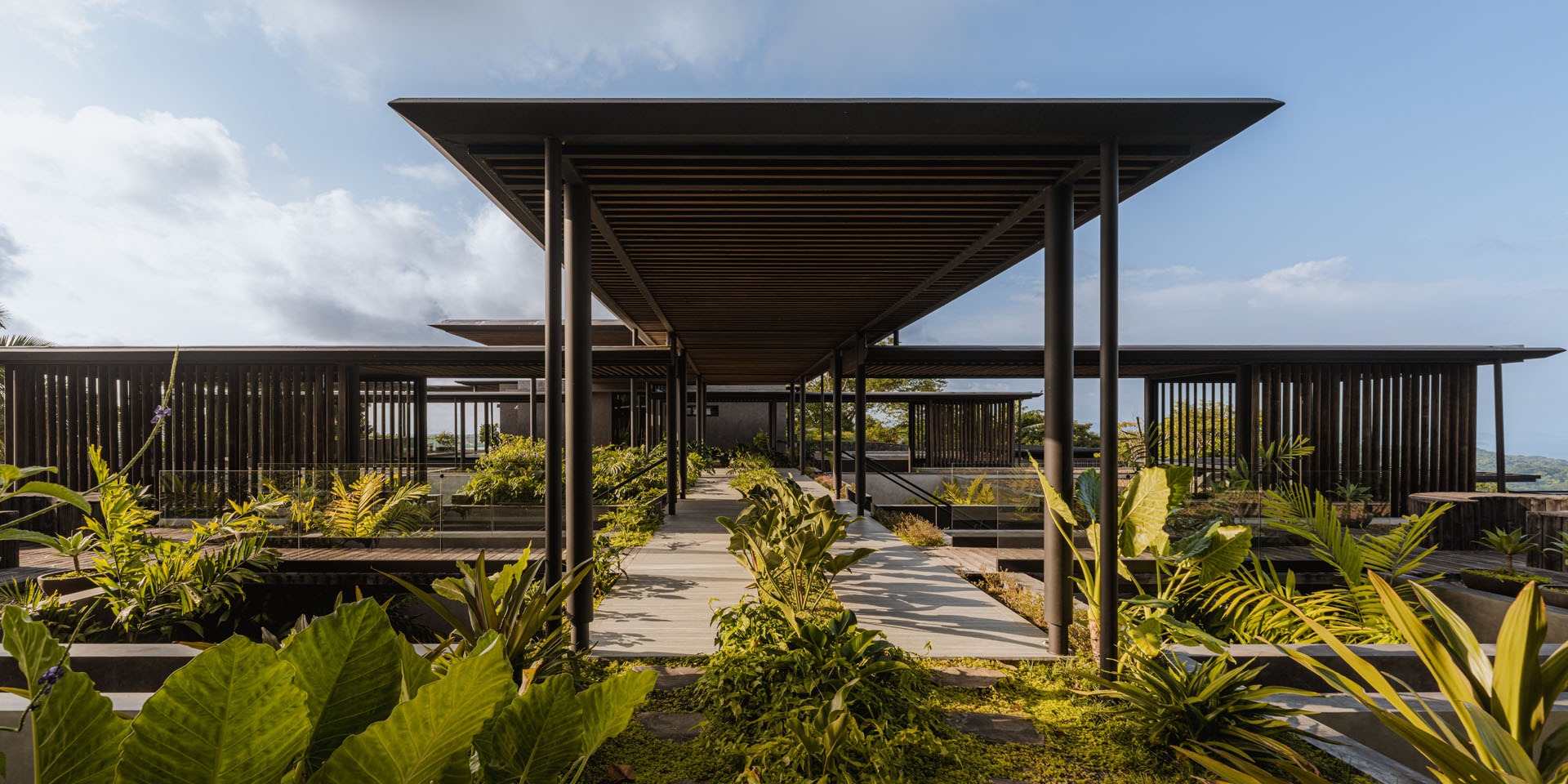 Exterior architecture featuring a covered wooden walkway traversing over planted green roofs and tropical gardens at Dos Vistas in Cabuya, Costa Rica designed by Studio Saxe.