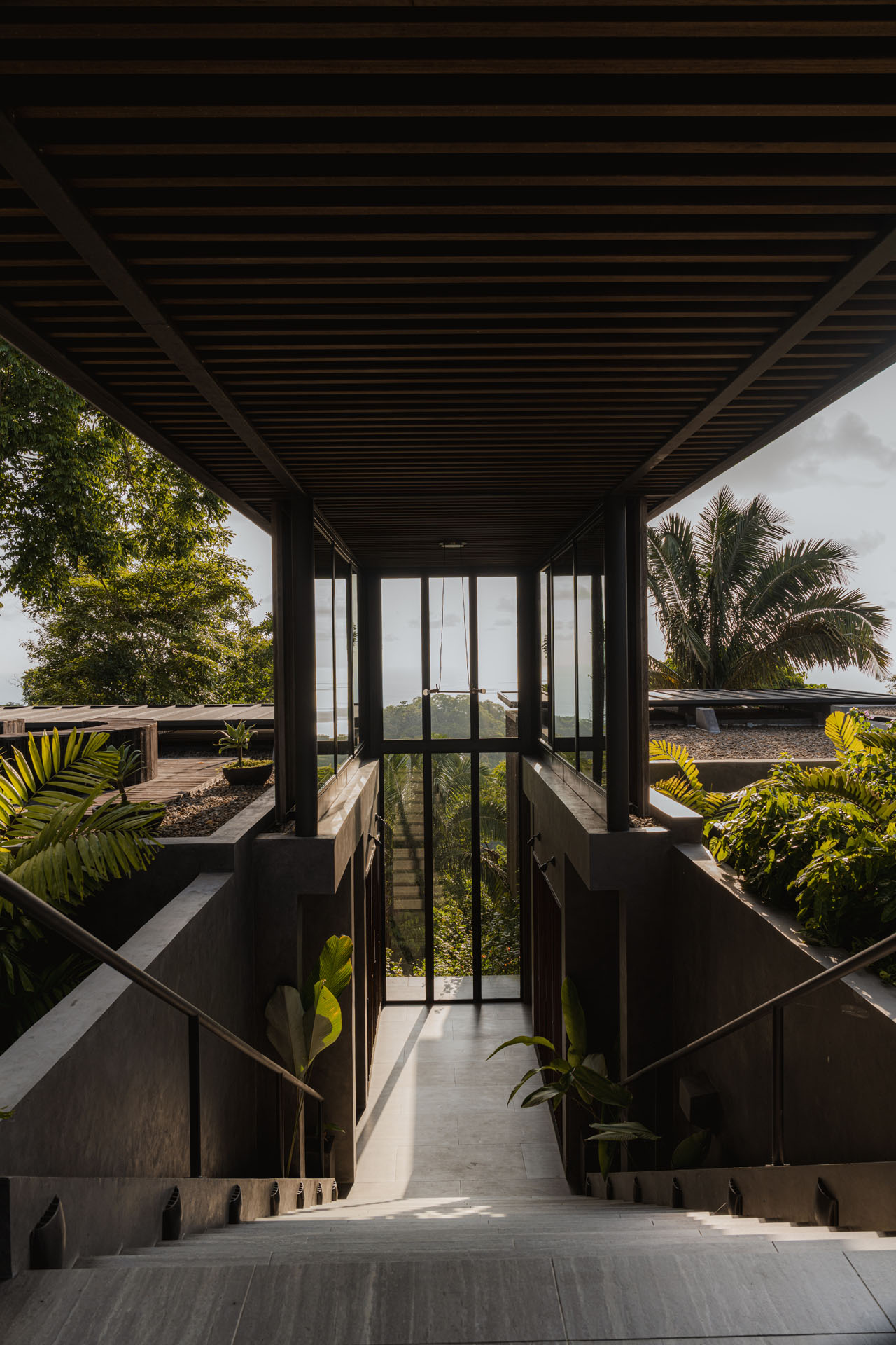 Descending concrete staircase and transition corridor with a slatted timber ceiling framing ocean and jungle views at Dos Vistas in Cabuya, Costa Rica designed by Studio Saxe.